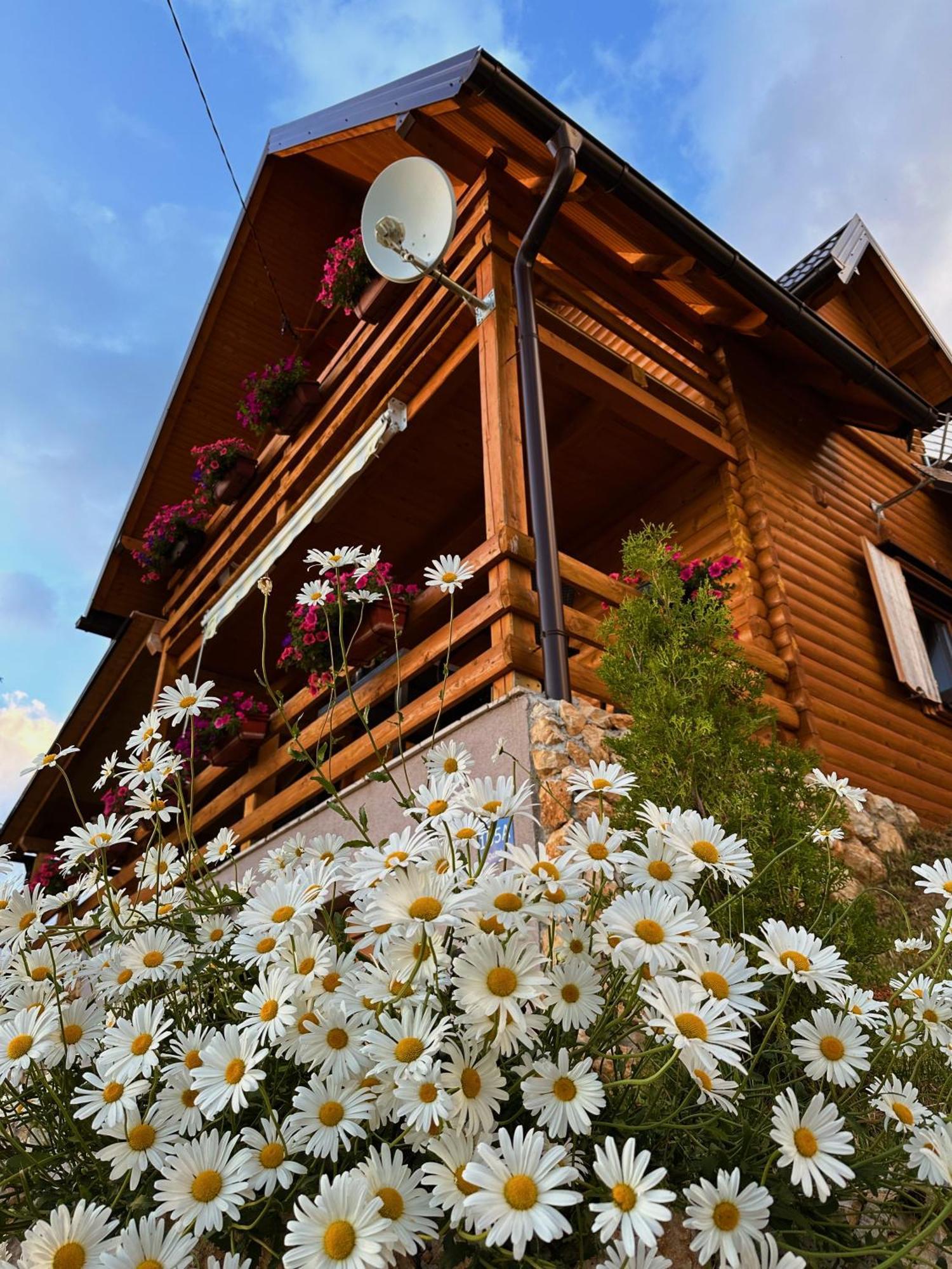Casa Mia Resort 쿠프레스 외부 사진